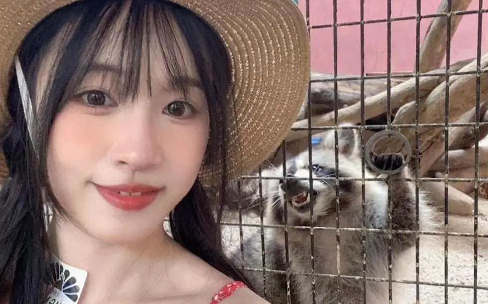 国产女神《苏畅》vlog视频大全-《苏畅》1080p高清版在线观看-全集免费资源
