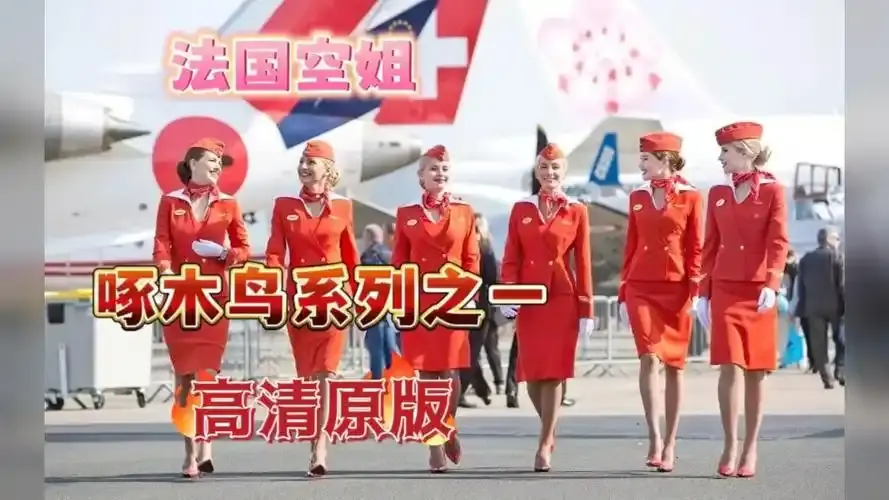 《法国空姐4》资源下载-法国空姐4全系列高清在线观看-免费完整版无卡顿播放