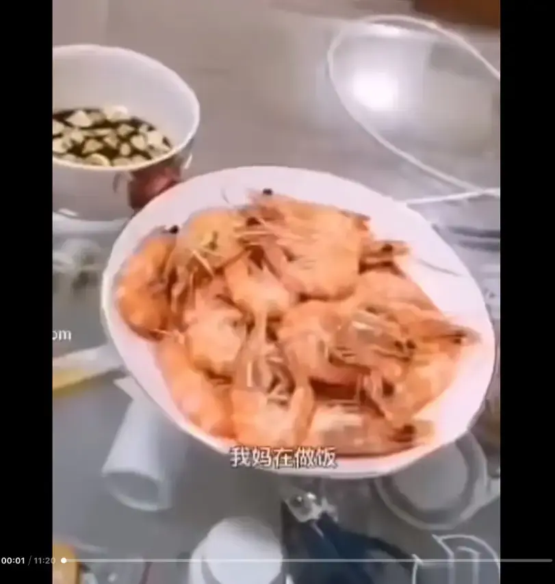 《大虾母子厨房完整版》高清视频百度/夸克/迅雷网盘资源免费在线看 - 揭开梗的神秘面纱 - 猎奇视频来龙去脉一看就明白