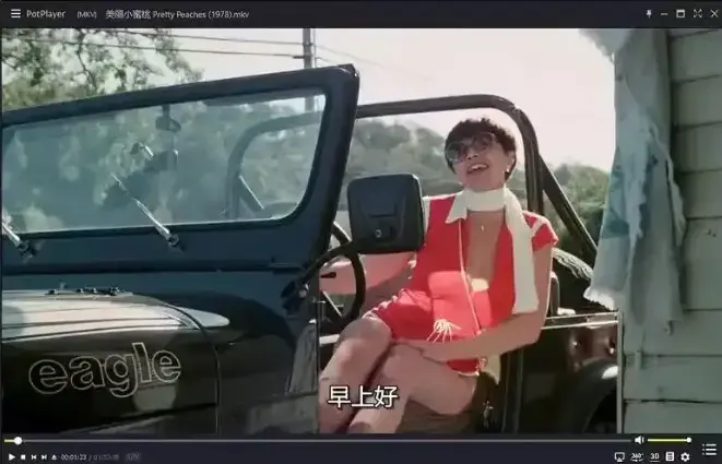 《美丽小蜜桃》未删减版高清免费观看-1978年复古喜剧《美丽小蜜桃》在线播放-1080P中字完整版资源
