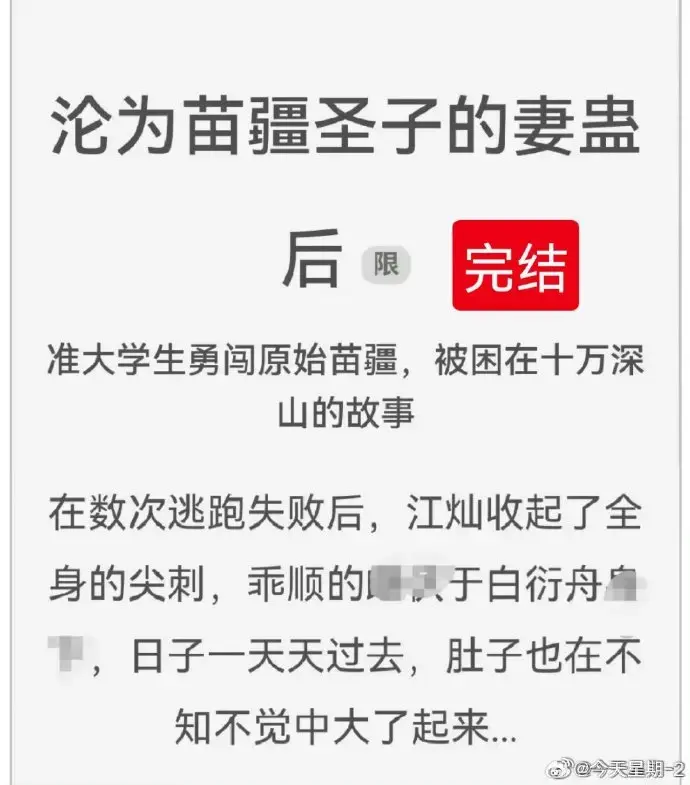《沦为苗疆圣子的妻蛊后》免费全文在线阅读-完结版txt下载无广告-狐狸雨小说百度云网盘资源