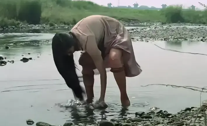 《芦苇地狱》相关资源图片