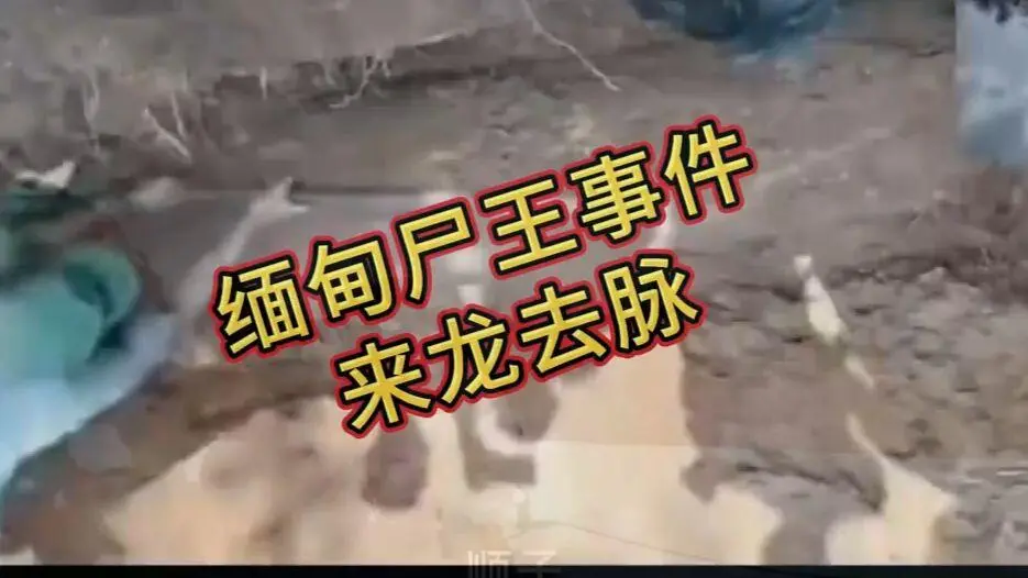 在线观看《缅甸僵尸出土事件视频》完整版资源下载 - 缅甸僵尸出土事件始末原视频高清无删减全程录像 - 爆火视频免费播放
